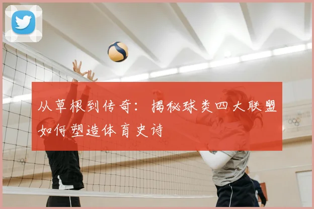 从草根到传奇：揭秘球类四大联盟如何塑造体育史诗