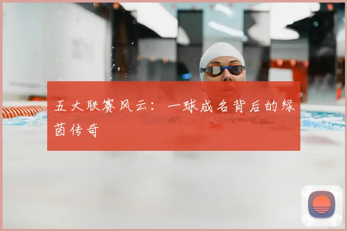 五大联赛风云：一球成名背后的绿茵传奇