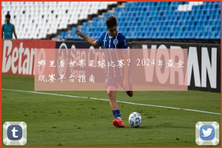 哪里看世界足球比赛？2024年最全观赛平台指南